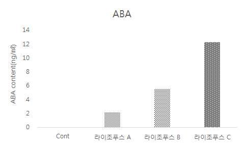 라이조푸스 A, B, C의 내생 ABA 함량 분석