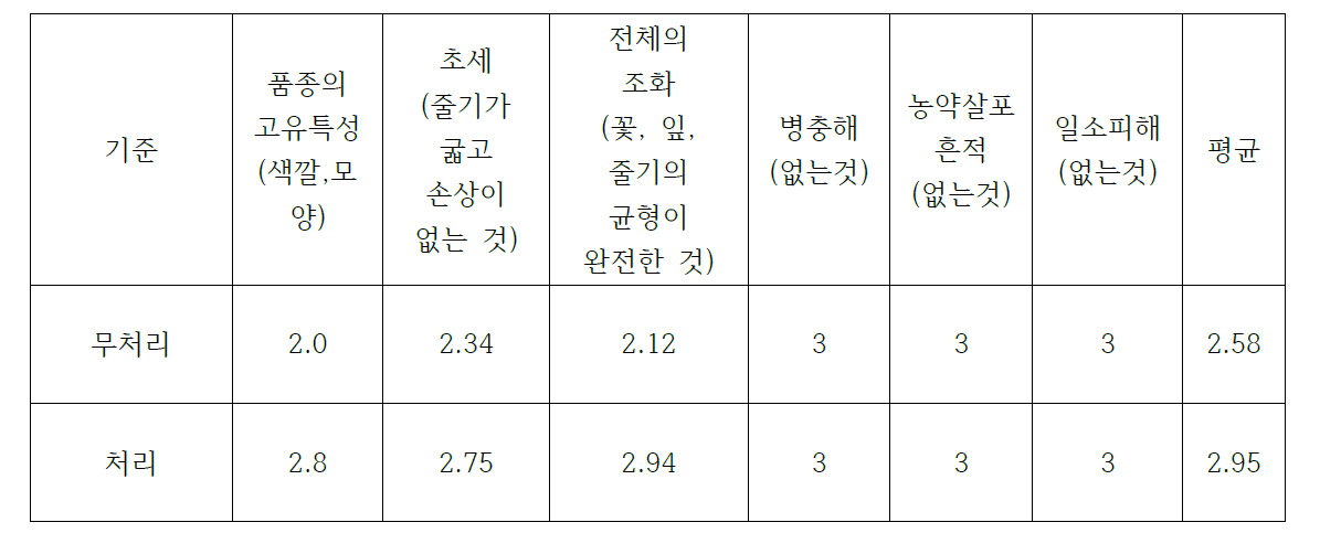 카네이션의 처리별 등급