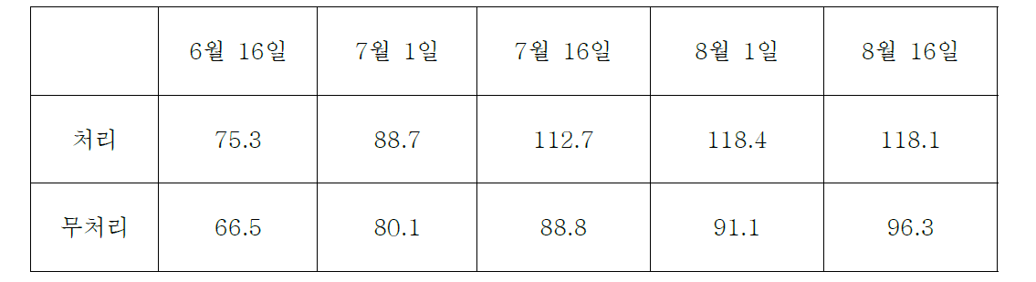 고추나무의 시기별 초장