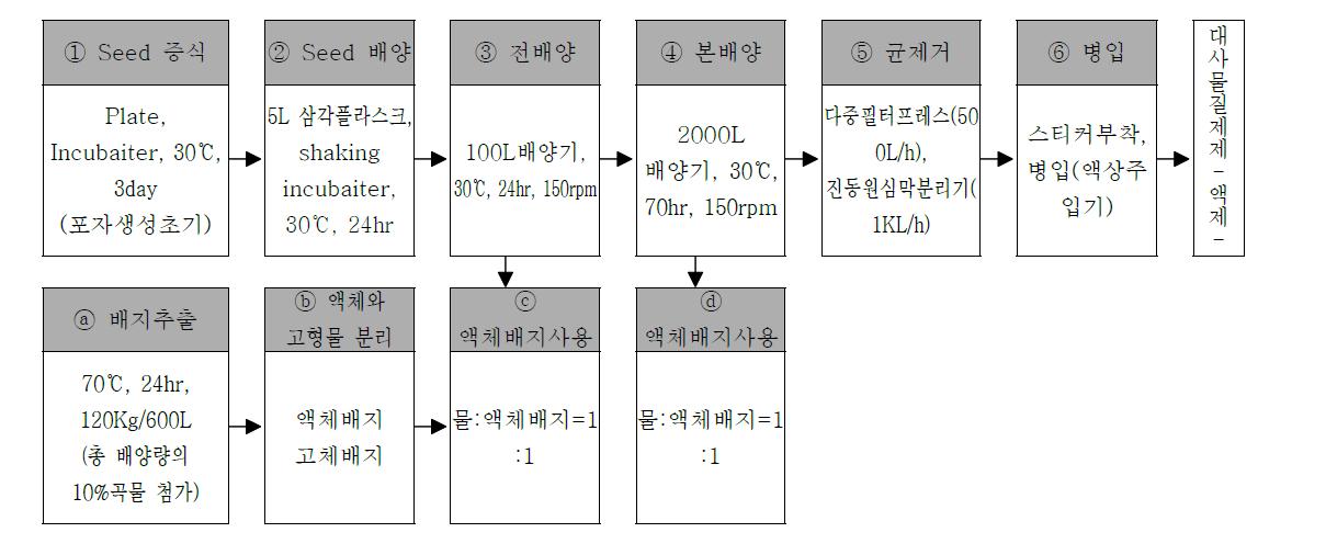 배양 공정도