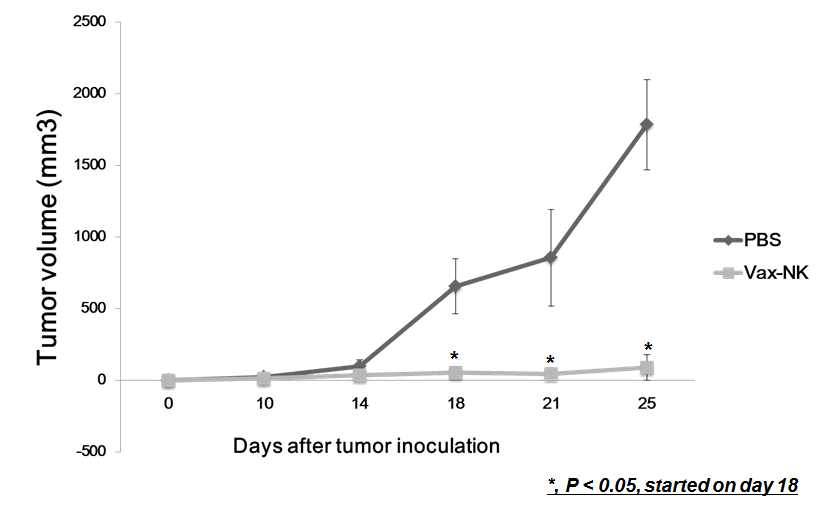 비치료군과 Vax-NK 치료군의 항암효과 비교