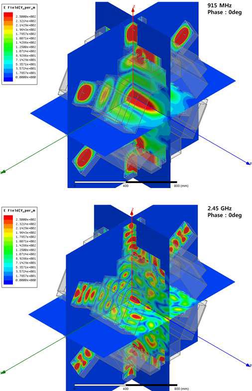 915MHz와 2.45GHz의 전계분포 비교(3D 구조)