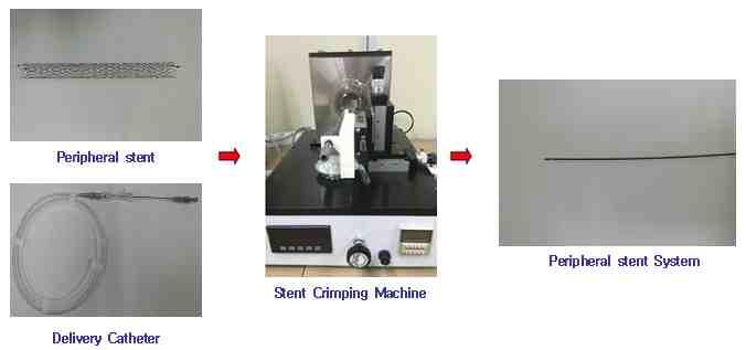 Peripheral stent System 제작