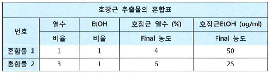 호장근 혼합물의 비율 및 농도