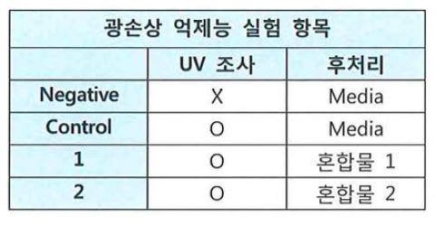 UV 조사 후 혼합물 처리에 따른 광독성 실험 항목