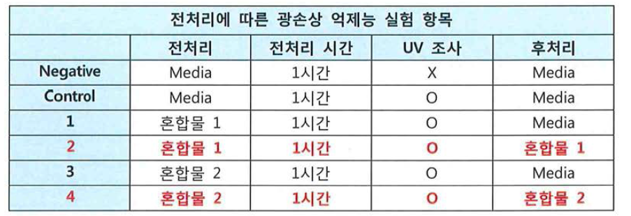 전처리에 따른 광손상 어제능 실험 항목