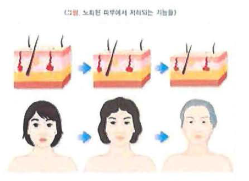 보건복지부/대한의학회