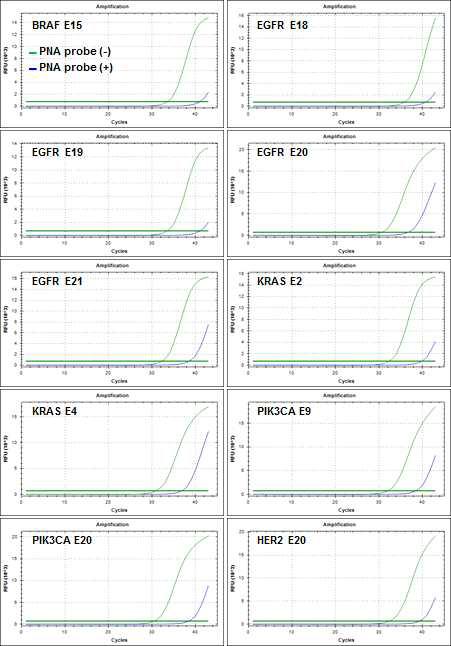 높은 Enrichment Rate를 보이는 PNA probe