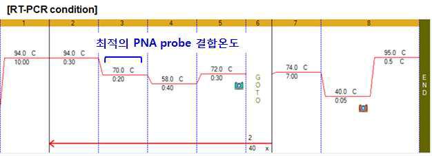 PNA 기반 Mutant Enrichment PCR 조건