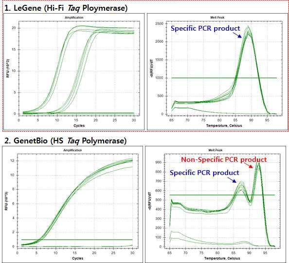Real-time PCR 기반 중합효소 조건실험