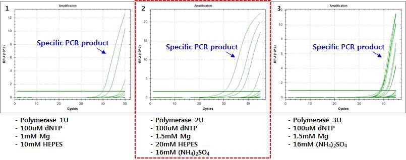 Real-time PCR 기반 버퍼조성 조건실험