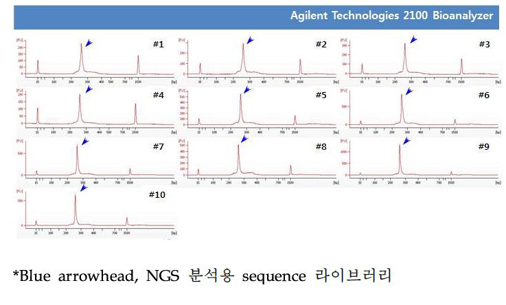 Agilent Technologies 2100 Bioanalyzer 측정 결과