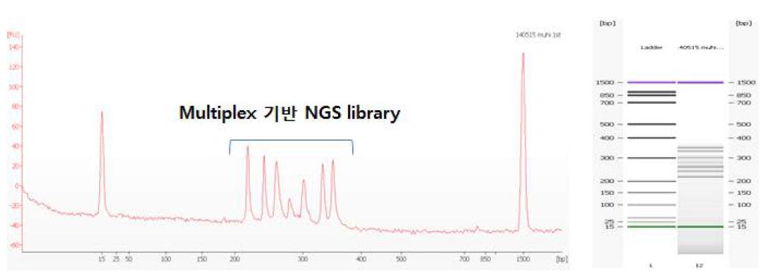 Multiplex 기반 NGS library