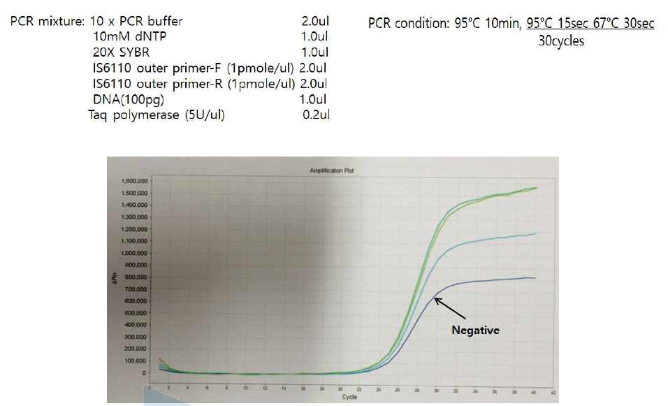 annealing temperature를 변화시킨 후 PCR 반응 결과