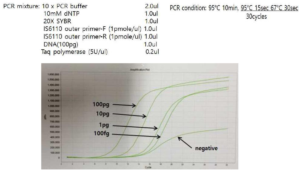 IS6110 outer primer set를 H37Rv DNA를 이용하여 농도별 PCR 결과