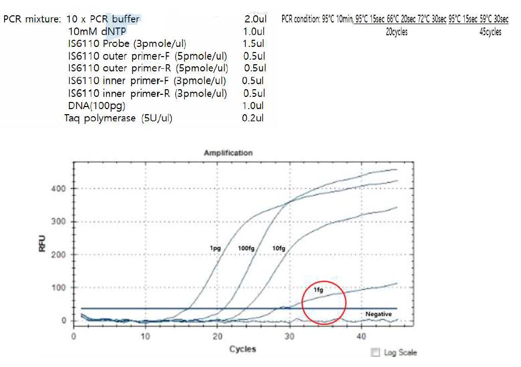 IS6110 nested real-time PCR 결과