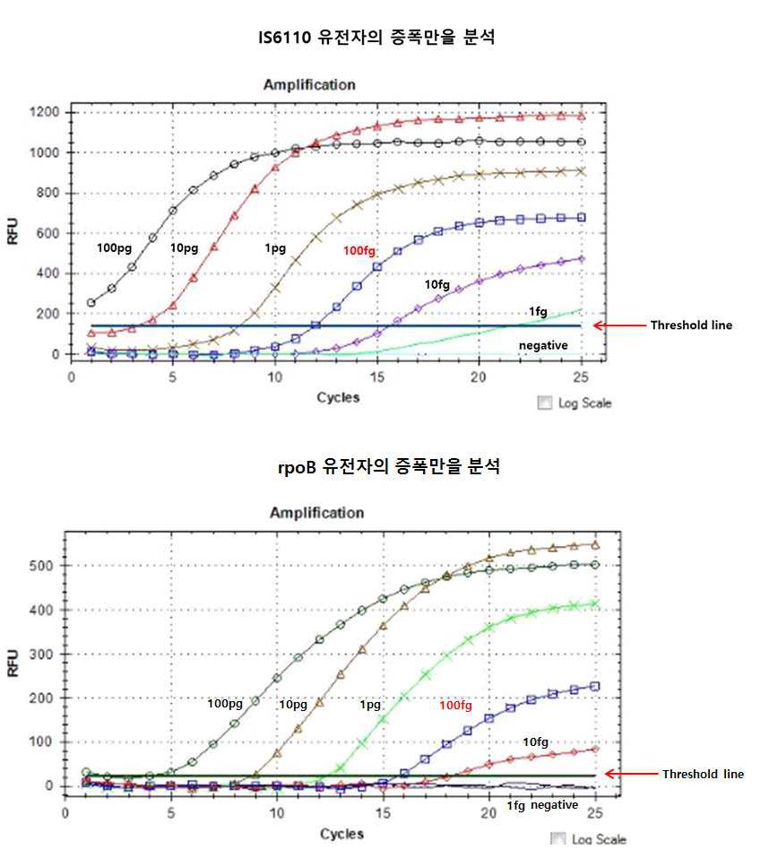 CFX-96모델을 이용하여 IS6110과 rpoB 유전자의 multiplex real-time PCR 결과