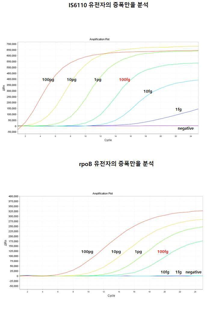 ABI 7500모델을 이용하여 IS6110과 rpoB 유전자의 multiplex real-time PCR 결과