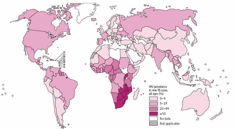 WHO에서 발표한 2012년 새롭게 발생한 결핵 환자들 중에서 HIV에 감연된 환자들의 분포.