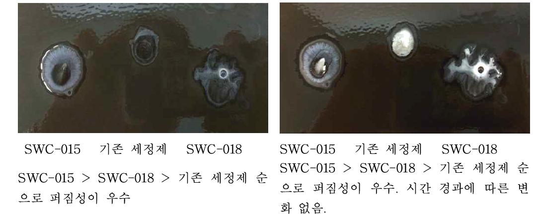 후보 세정제 슬러리 오염원 침투력 비교 (1차)