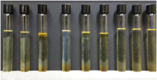 Phase stability for ECO-15 with 5.0 wt% of AS-48 co-surfactant in NaOH, KOH, TMAH (5, 10, 15 wt%) solutions at 25℃.