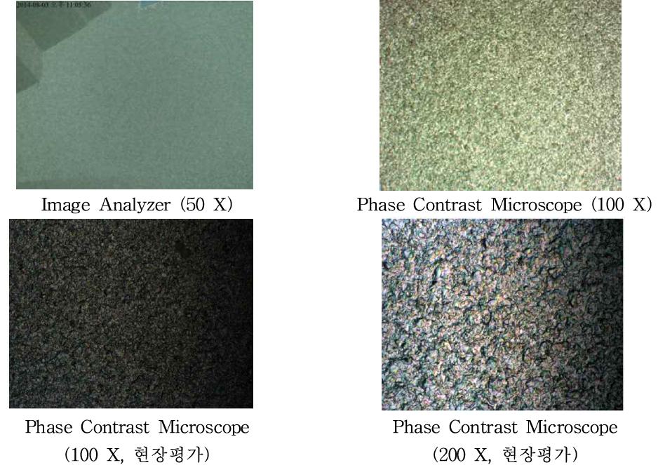 Image Analyzer(50배) 및 Phase Contrast Microscope(100, 200배) 관찰