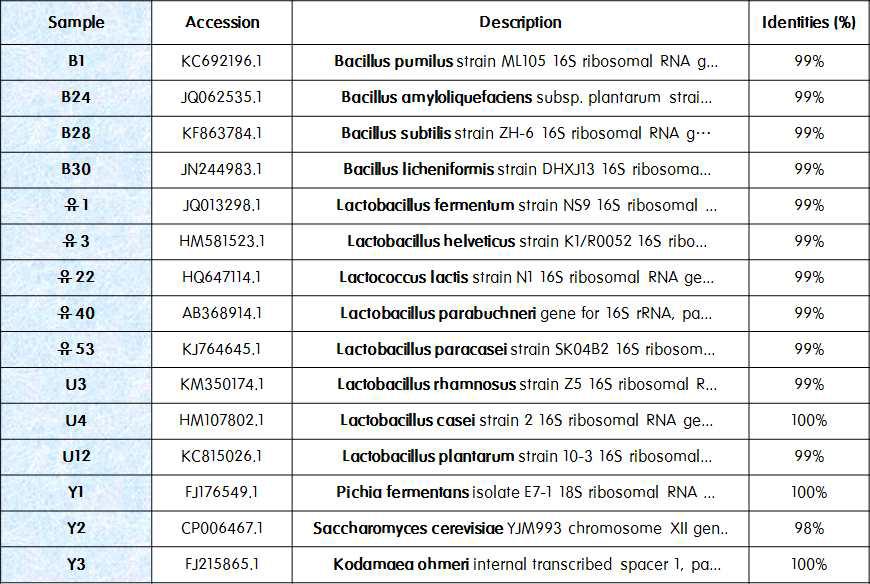 분리된 유용 미생물의 16S-rRNA or 18S-rRNA Squencing 결과