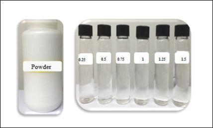 BPO:Toluidine 비율에 따라 준비된 시료