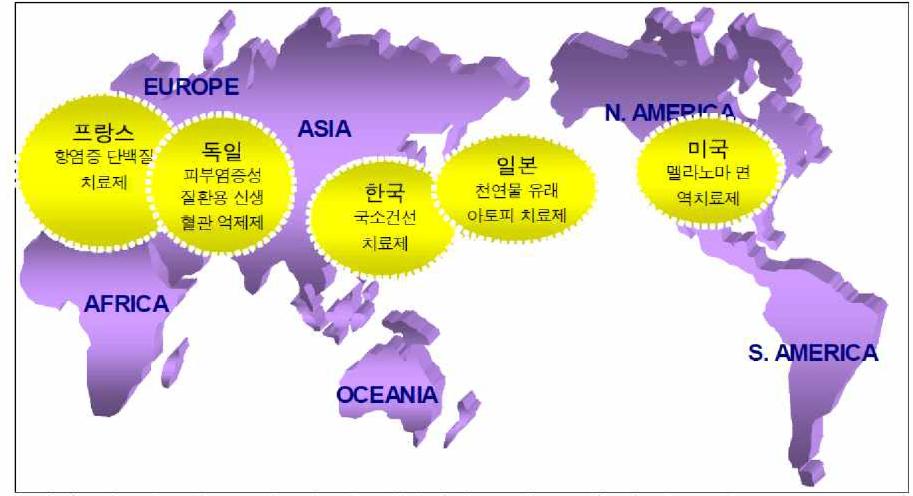 주요국의 세부기술별 역점분야