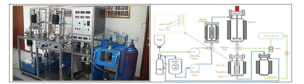 기존의 초임계 추출장치 및 제조 공정도