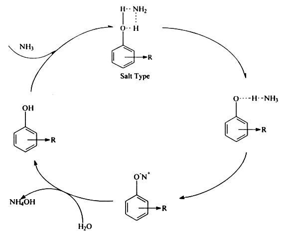 암모니아(NH3) 입자의 분해 매커니즘