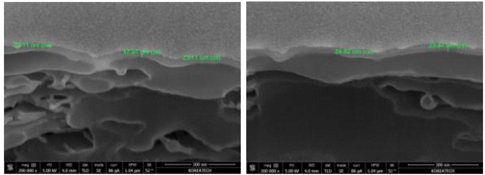 60cycles 분리막의 단면 두께 앞면(좌), 뒷면(우) 이미지