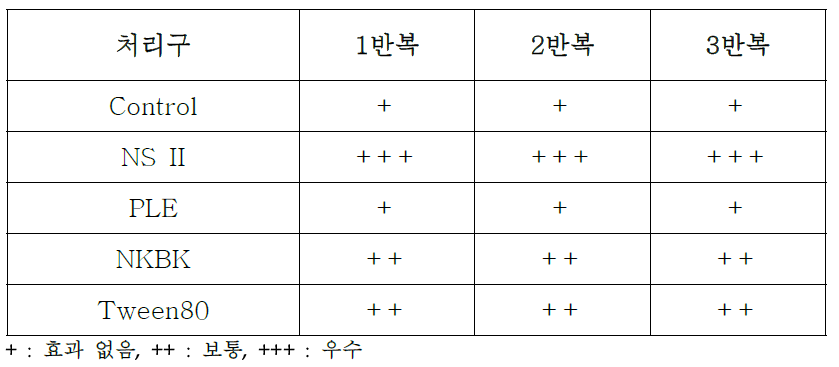 NS II에 적용 가능한 보조제의 전착력 검정