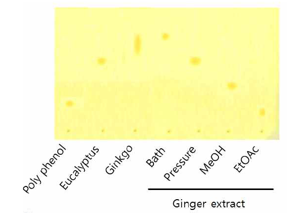 TLC를 이용한 유효물질의 주요성분 확인