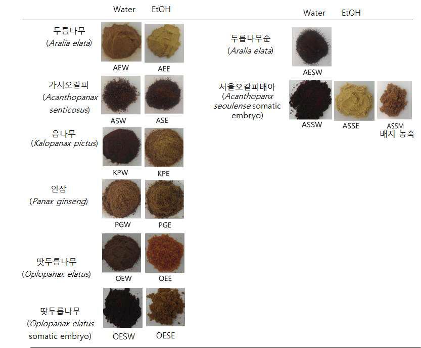 Ingredient powders from water and ethanol extraction of Aralia plants.