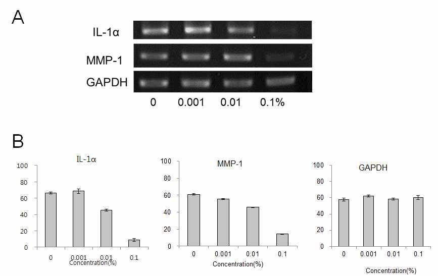 RT-PCR analysis for gene expression in CCD-986sk treated with water extract of Acanthopanx seoulenses somatic embryonic cells. GAPDH used for an experimental control for constitutive expressed gene in a cell.