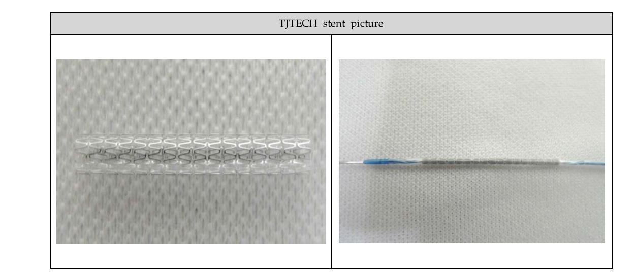 Stent picture