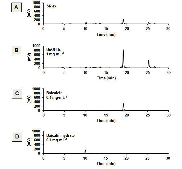 황금 추출물과 용매 분획들의 HPLC 분석