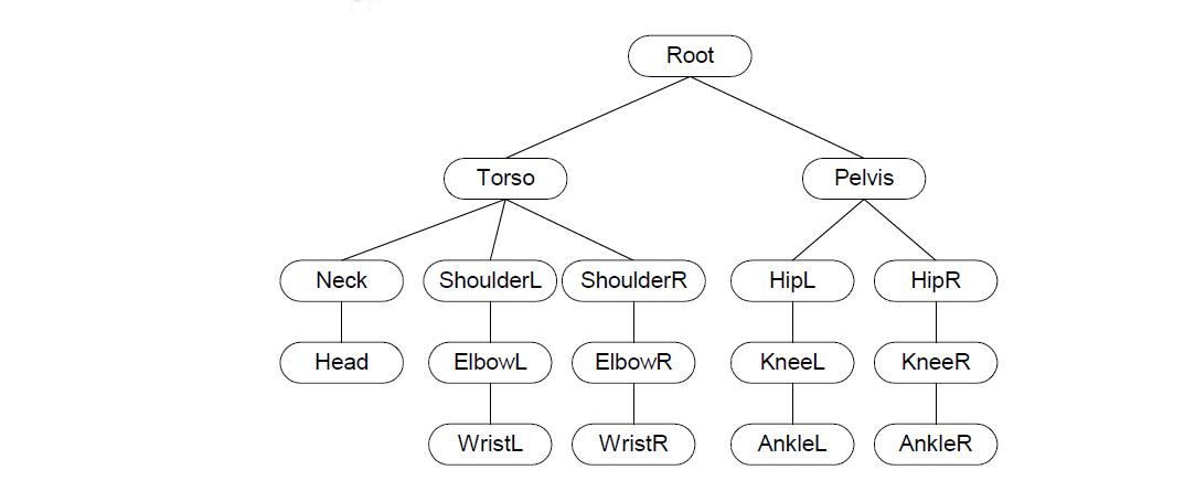 Hierarchical graph of skeleton joints