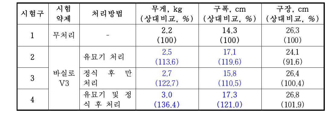 청양배추 실증시험의 1차 조사 결과