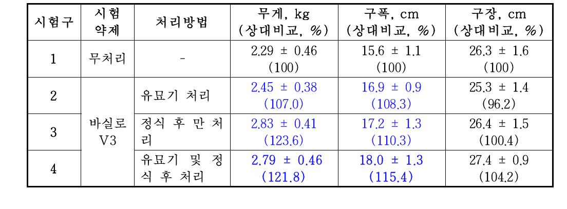 청양배추 실증시험의 2차 조사 결과