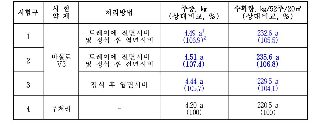 한국생물안전성 연구소 배추 생육 시험의 2차 조사 결과 3