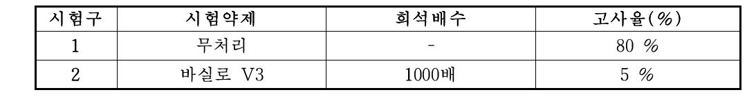 오이 냉해 극복 효과 시험 결과(고사율)