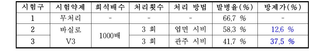 배추 무름병 방제 효과 시험 결과 (발병율 및 방제가)