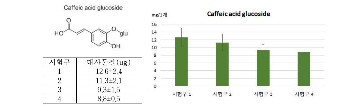 Caffeic acid glucoside의 정량 분석 결과