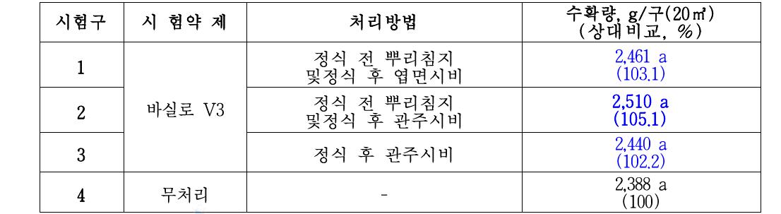 한국생물안전성 연구소 딸기 생육 시험 결과 정리