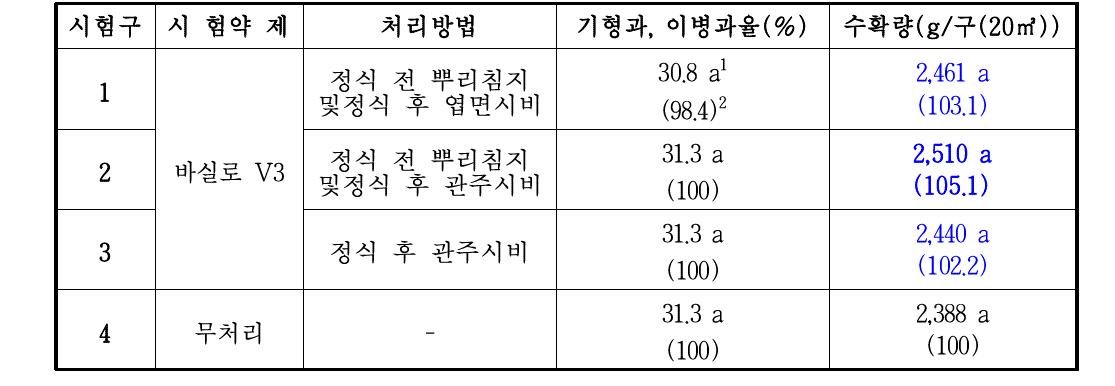 한국생물안전성 연구소 토마토 생육 시험 결과 정리