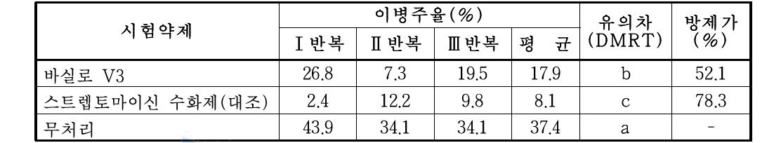 한국생물안전성 연구소 배추 무름병 방제효과 시험 결과 정리