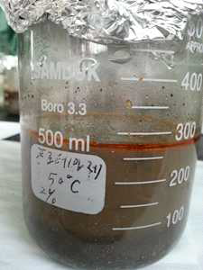 프로테아제 N.P.를 이용한 오징어 내장유 추출 실험 (2%, 50℃, 70rpm, 2h)