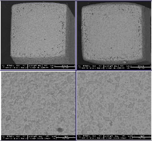 CP-M01C 페이스트를 적용한 0201-inch 칩에서의 740도 소성 후 표면 SEM 사진